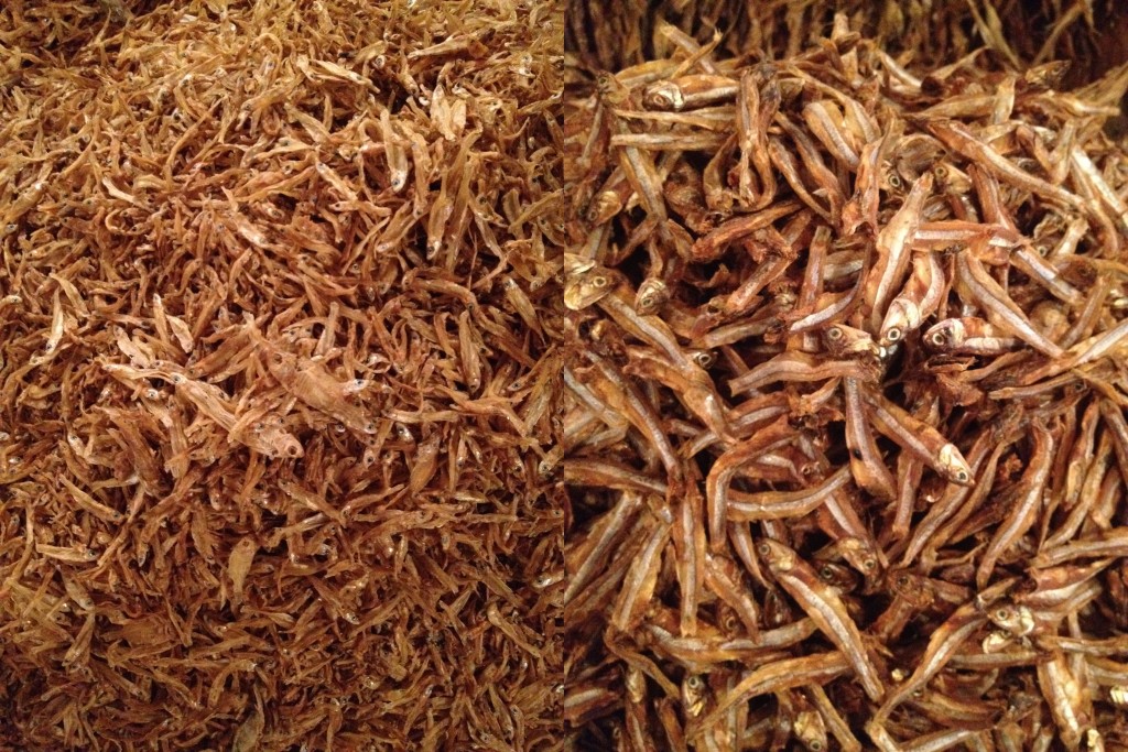 dried fish